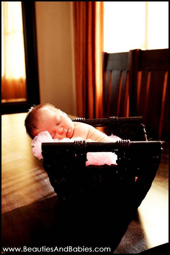 Los Angeles newborn baby portrait photography